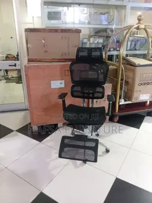 Ergonomic Chair