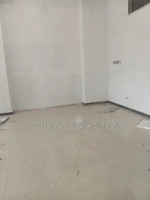 Shop(Store)