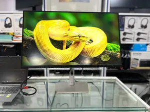Dell Monitor