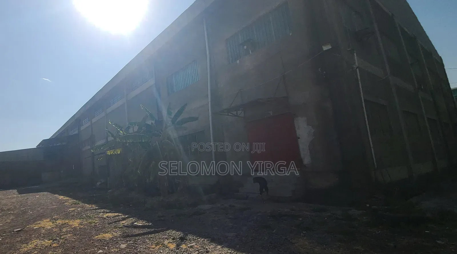 Warehouse for Sale,