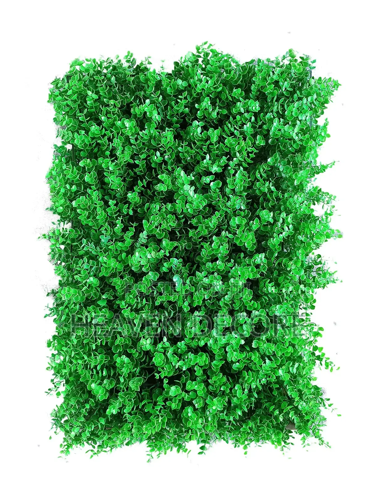 60x40 Greenery