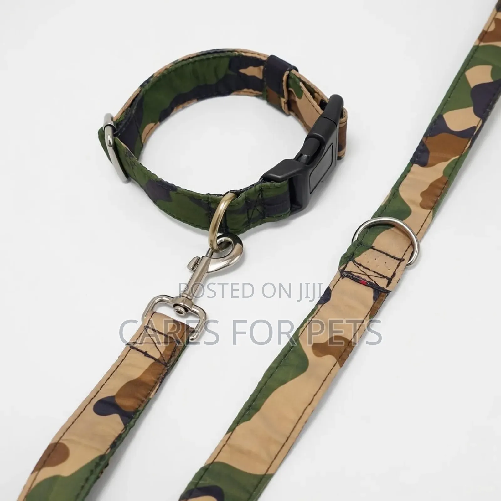 Dog Collar With Lead