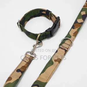 Dog Collar With Lead