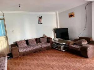 Furnished 3bdrm Condo in አራብሳ 20/80, Yeka for sale