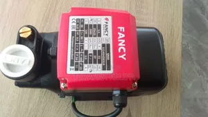 Fancy High Qality Water Pump