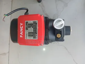 Fancy High Qality Water Pump