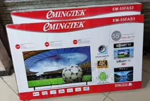 Emingtek 55*2025