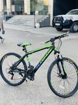 PhoenixMountainBicycle Phoenix 26 Inch Bicycle