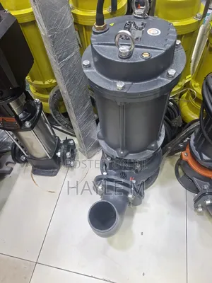 Leo Dewatering Pump