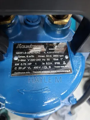 Aquastrong Submersible Pump 1hp