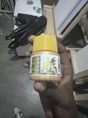 Acrylic Gold and Silver Color 40ml Paint