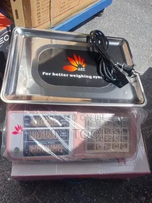 Digital Scale