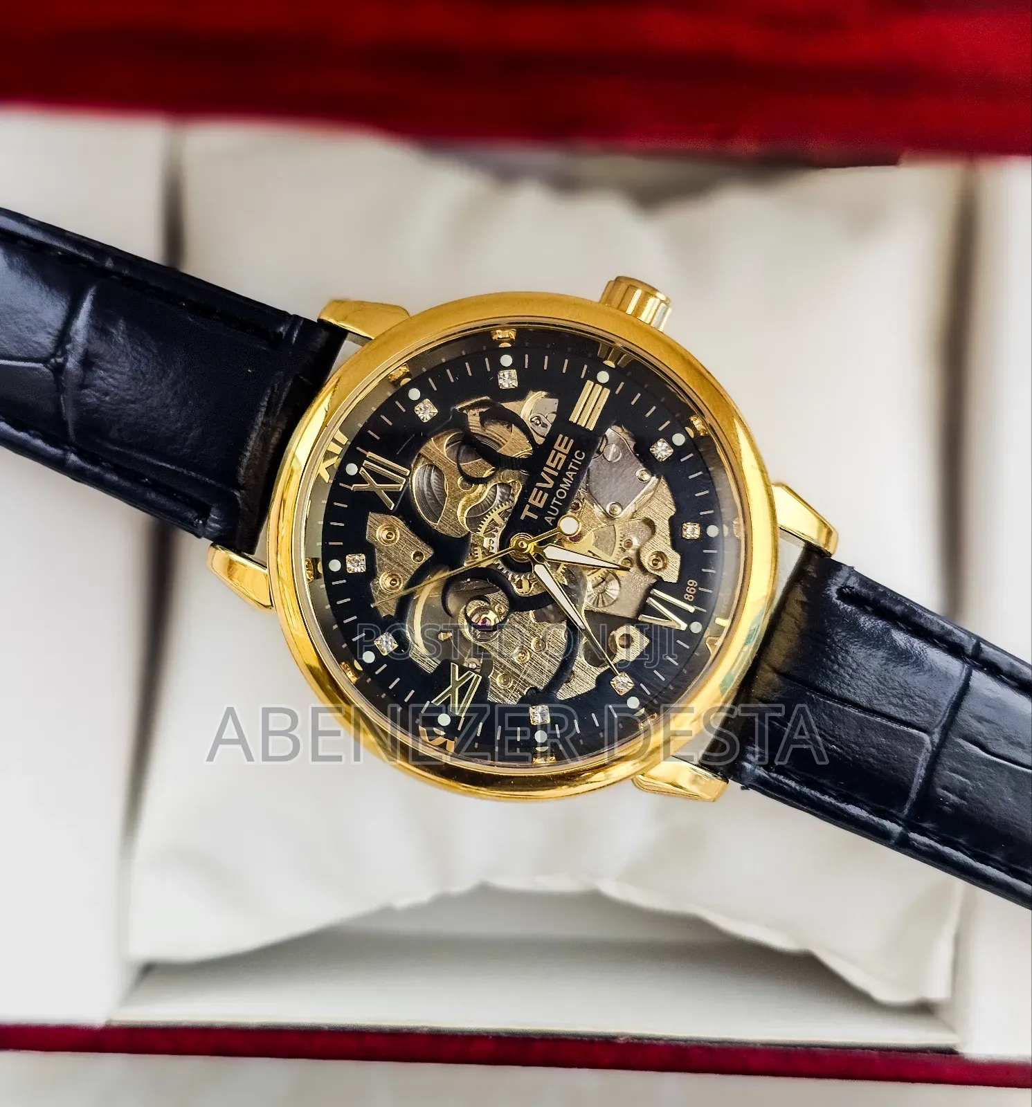 Tevise T869 Automatic Mechanical Skeleton Watch. Black Leather