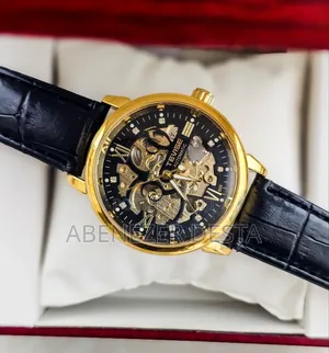 Tevise T869 Automatic Mechanical Skeleton Watch. Black Leather