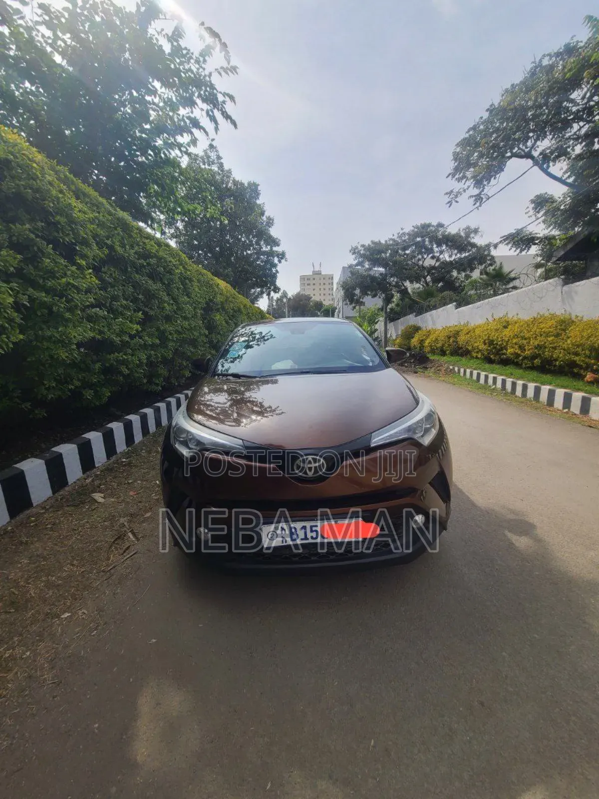 Toyota C-HR 2017 Brown