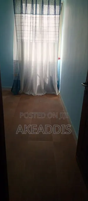 Furnished 2bdrm Condo in መሪ ሎቄ, Bole for sale