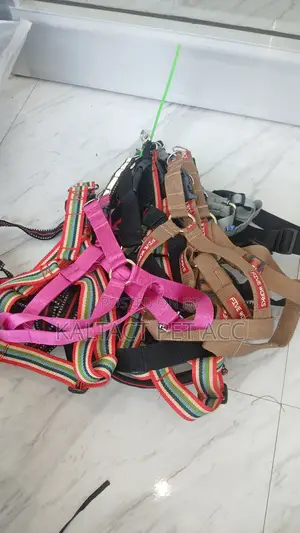 Dog Harrnees With Difrent Collor