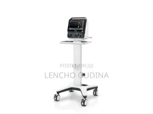 Ventilator Sv300