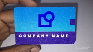 250 Or 300g Shining Mesh Business Card Design + Printing Free Delivery