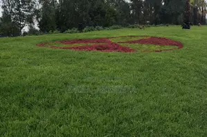 Ab Gardening/Landscaping(Soil,Grass and Plants)