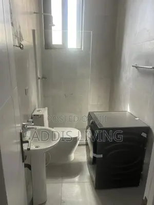 Furnished Studio Apartment in Bole for rent
