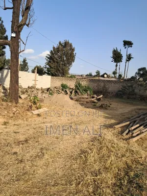 Commercial Land for Rent at Zenebe Werk