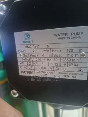 Forsa 3hp Vertical (Laviyajo)Water Pump