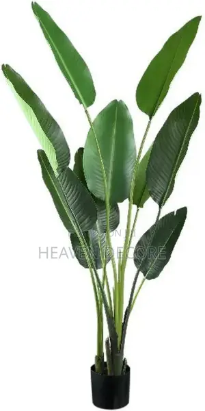 1.6m Artificial Tree (አርቴፊሻል ዛፍ)