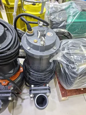 Leo Dewatering Pump 4hp