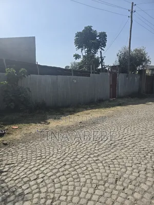 አስቸካይ የሚሸጥ ባቴ