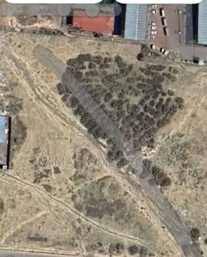 መሬቶች የግነሰባታ ፍቃድ ያላቸው