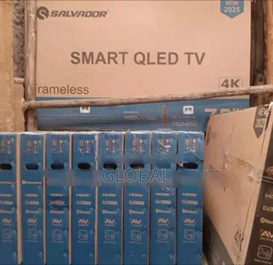 55"Inch Slavador Tv