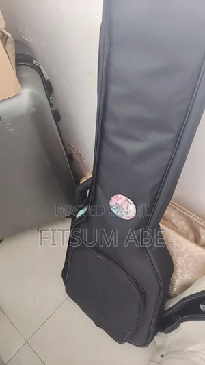 Bass Guitar Bag
