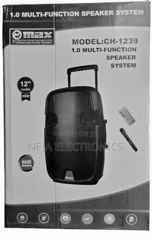 Max Speakers System 12-Woofer Delivery