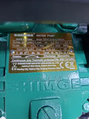 Shimge Submersible Pump1hp