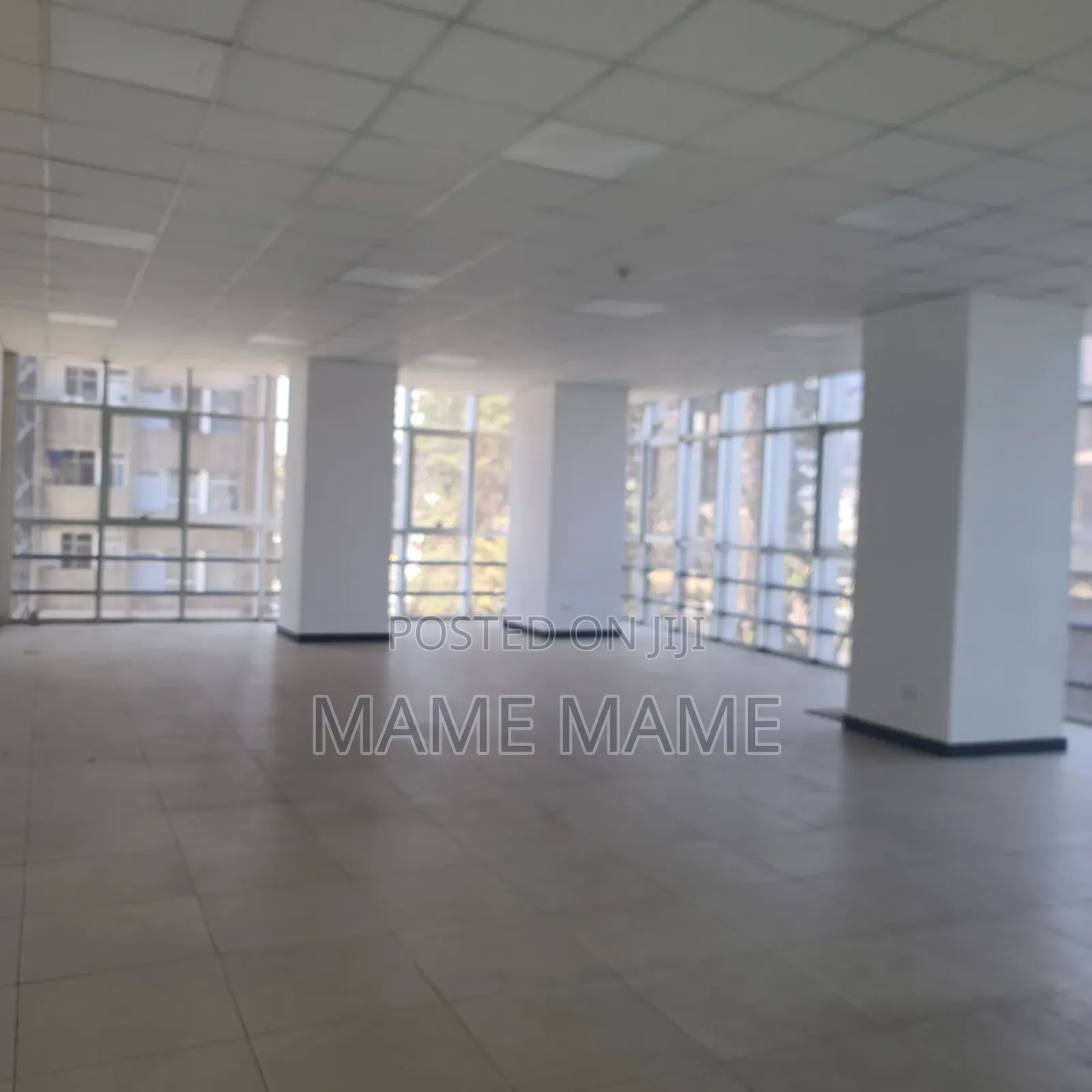 Shopping Center for Rent