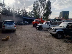 Auto Garage