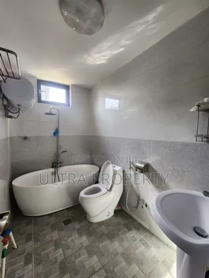Furnished 1bdrm Apartment in Bole for rent