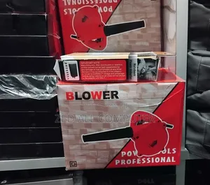 Blower Professional