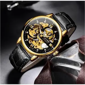 Tevise Luxury Gold and Black Skeleton Mechanical Watch