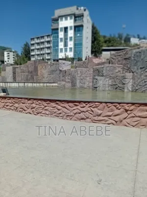 አስቸካይ የሚሸጥ የንግድ ህንፃ ባንክ እዳ አለበት