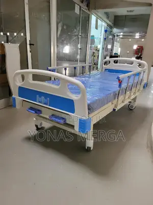 2 in 1 Premium Imported Hospital Bed取言mobilitykart Homecare