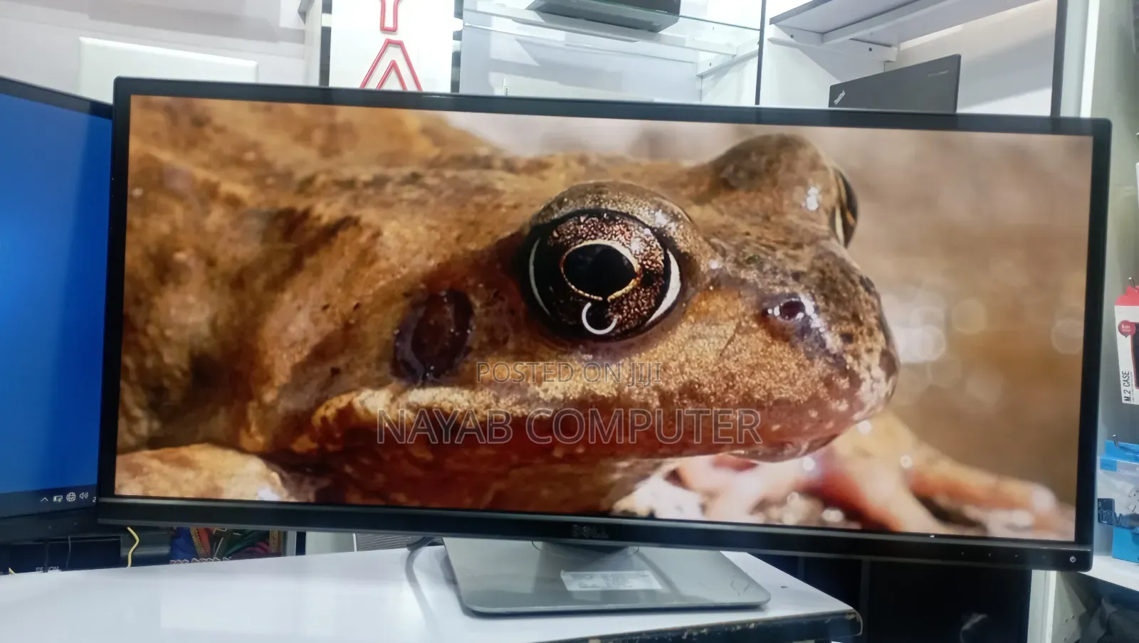 29" Inch Monitor