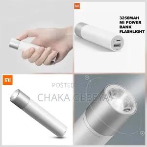 Emergency Power Bank With 240 Lumen Built-in Light