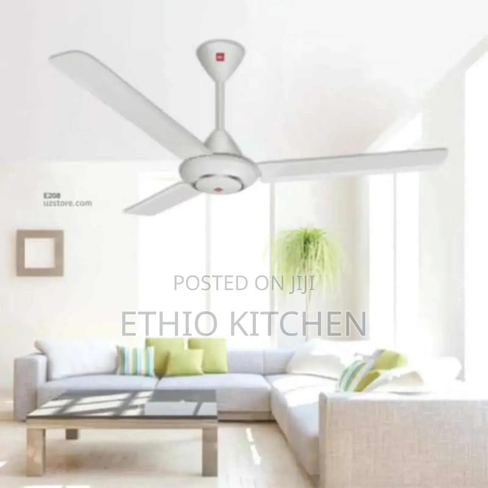 Ceiling Fan