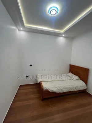 Furnished 3bdrm Apartment in Africa Union (Au), Lideta for rent