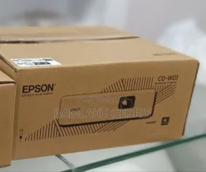 Brand New Epson With Manual and Remote Model Name: Co-W01