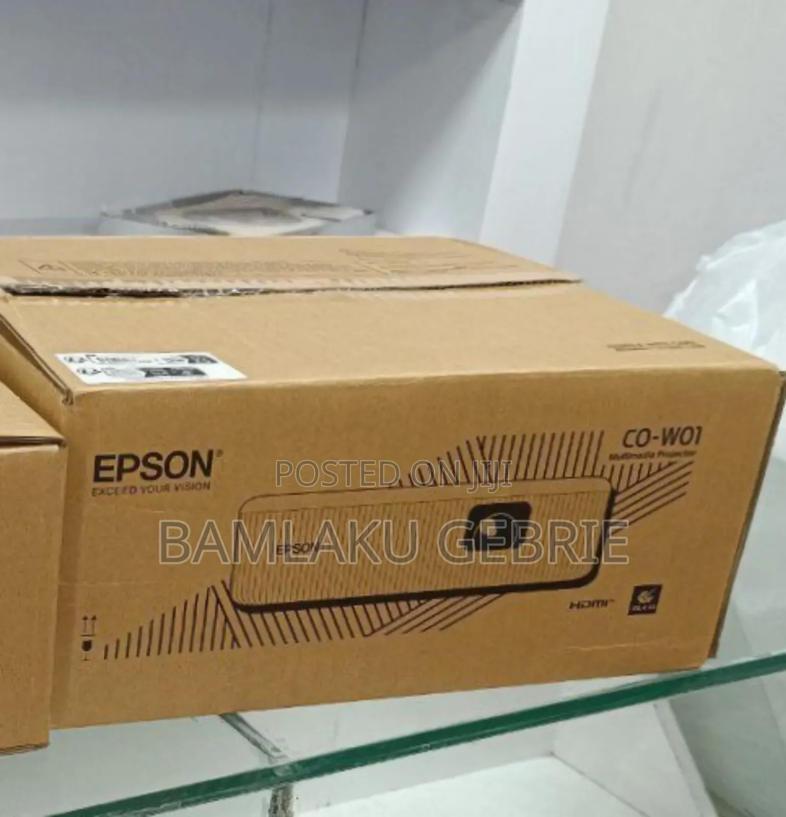 Brand New Epson With Manual and Remote Model Name: Co-W01
