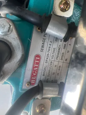 Bugatti Sewage Pump