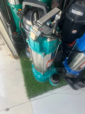 Bugatti Sewage Pump